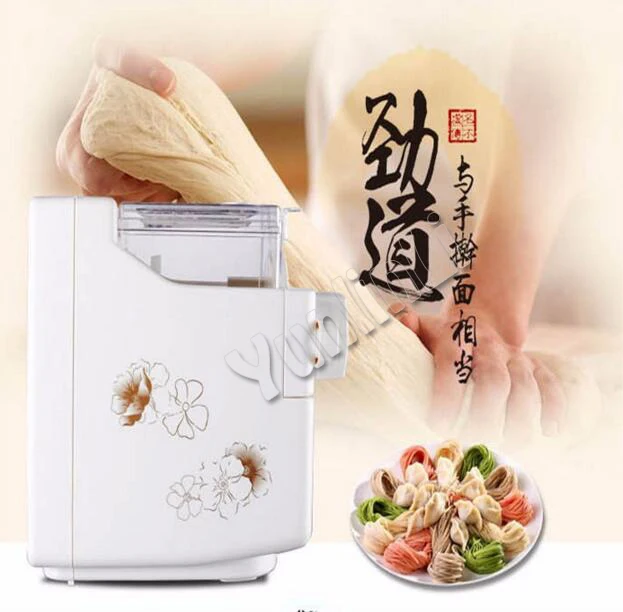 Household Noodle/ Pasta Maker Fully-Automatic Electric Noodle Making machine Doughmaker  in White Color MTJ138A