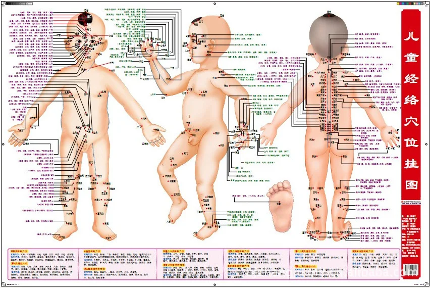 Children'S Massage, Acupuncture Points, With Book Acupoint Wall Charts, Standards, Children'S Meridian Points Wallcharts