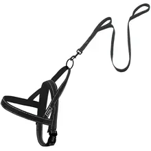 Reflective Dog Harness and Leash for All Sizes #4