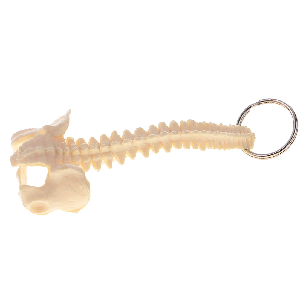 Mini PVC Material Handcrafted Human Spine Skeleton Model Keychain for School Teaching Aid Ornament Novelty Present