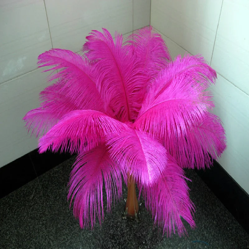 

Free shipping ! 20 pcs Mei red South African ostrich feathers. High quality feather wedding props 45-50cm 18-20inches