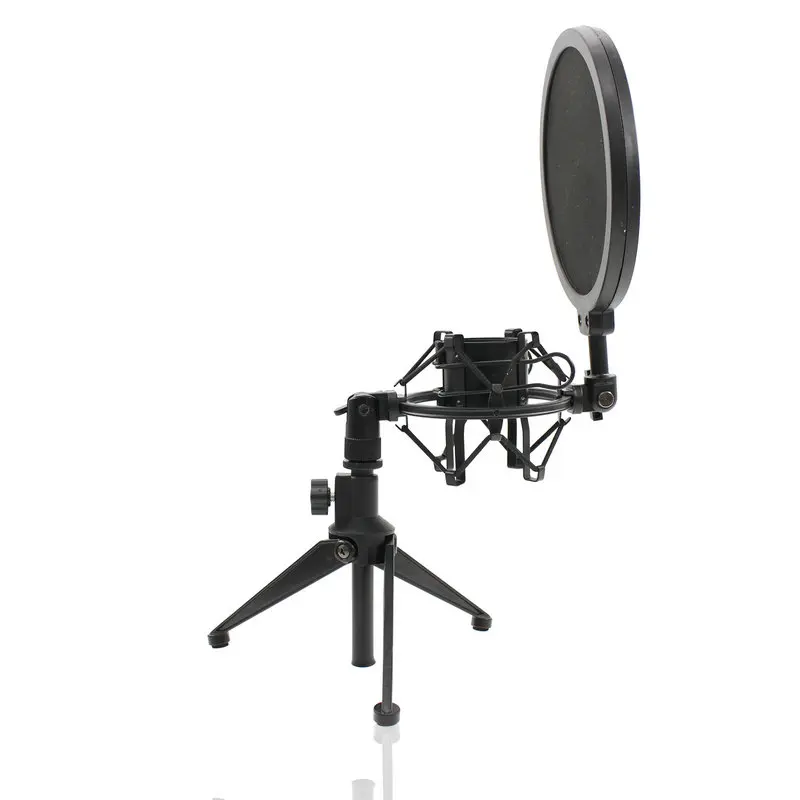 BM800 Professional Microphone Condenser BM 800 Microphone for Video Recording Radio Studio Microphone for Computer Shock Mount