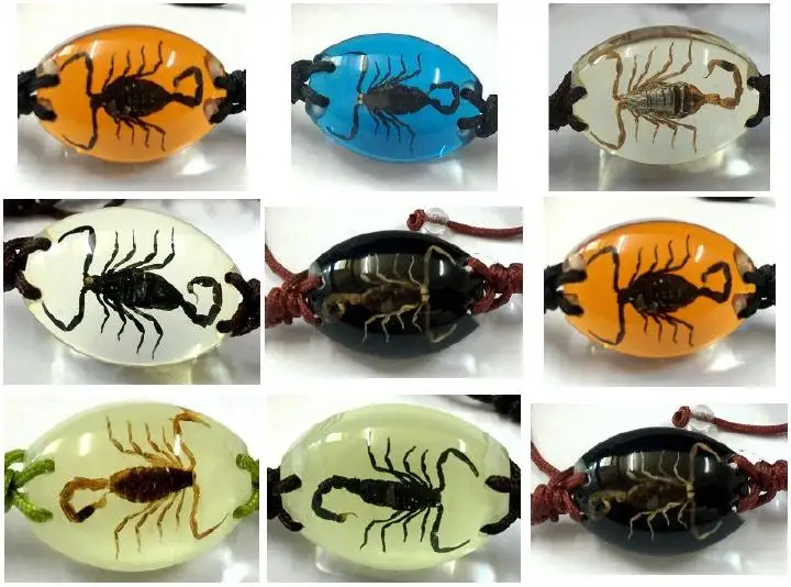 

12 pcs real mixed insect colorful bangle fashion bracelet