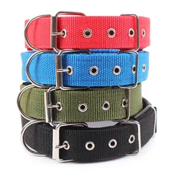 Sólida Nylon Dog Collar, Pequeno Médio e Grande Cães, Teddy, Keji, Pitbull, Buldogue, Beagle