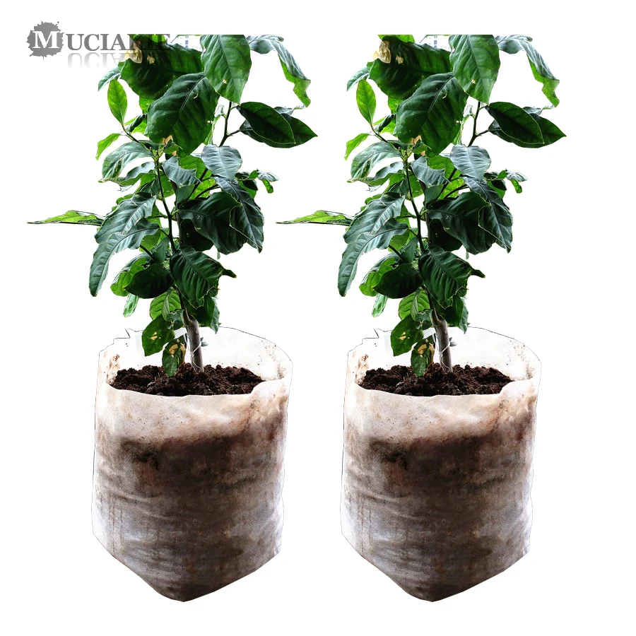 100/50PCS Seedling Plants Nursery Bags Organic Biodegradable Grow Bags Fabric Eco-friendly Ventilate Growing Planting Bags