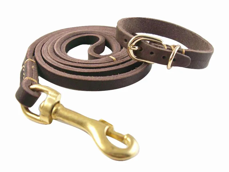 SMEs export extremely soft leather Bin Taidi your dog leash dog rope circle cowhide puppy dog collars