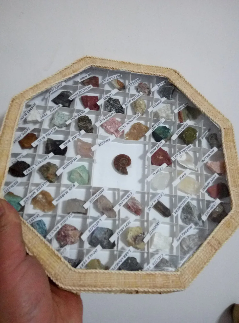 Mineral Collection Set - 49 Different Stone and Mineral Specimen Box