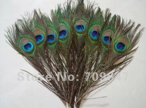 Wholesale! 50pcs/lot! 25-30cm Length,Natural Colour Peacock Tail Feathers,Peacock Eye Feathers