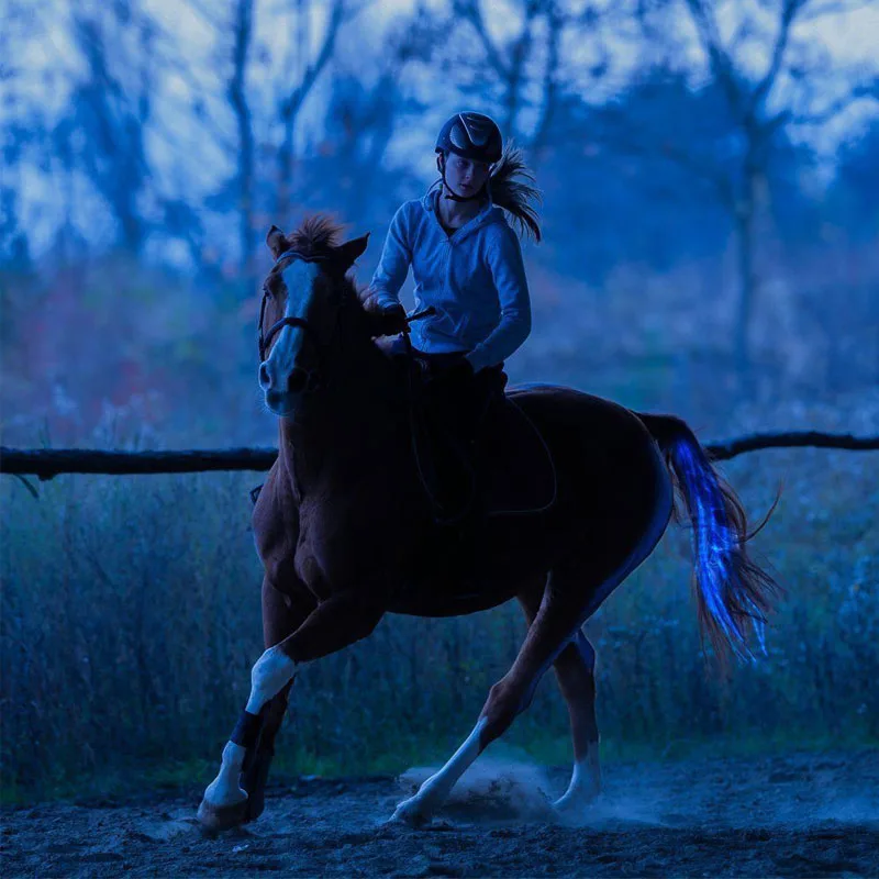 Horse Equipment Riding Tail Trappings Equestrian LED Flashing Light Bar Harness Outdoor Sports USB Charge Riding Decorations image 3