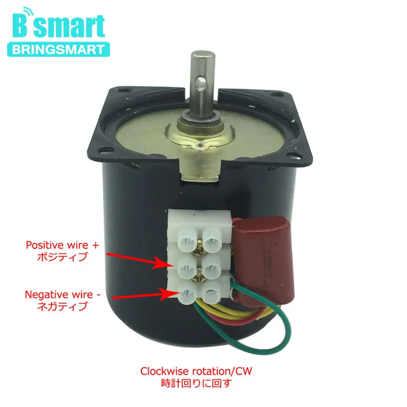 Bringsmart AC 110V 220V Permanent Magnet Electric Motor High Torque Reversible Motor For Powerful BBQ Motor DIY Parts 60KTYZ