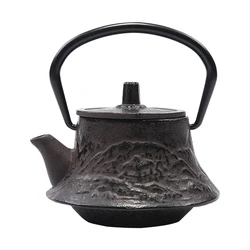 0.3L Cast Iron Teapot Set Tea Pot Tetsubin Kettle Drinkware 300ml Kung Fu Infusers Metal Net Filter Cooking Tools