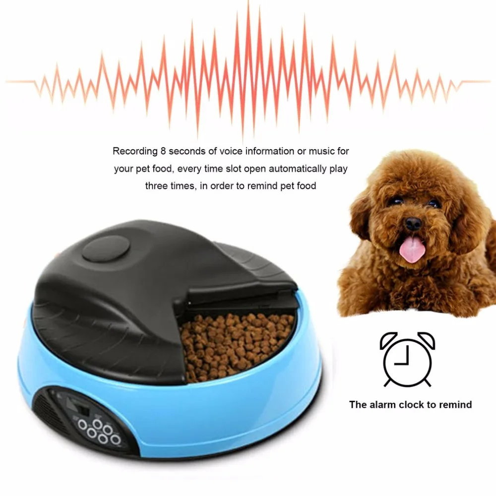 

Pet 4 Meals Auto Feeder Food Trays Bowl Dispenser Setting Fixed Time Non-toxic Container Recording Reminder dog supplies