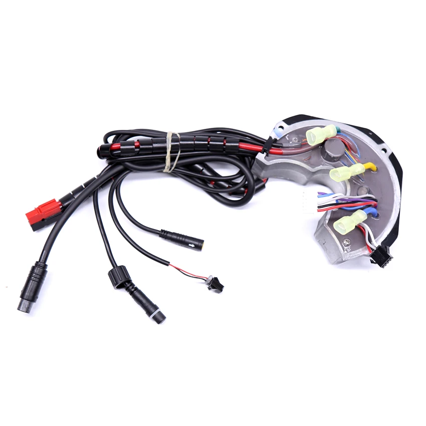 Bafang BBS01B - Controlador De 36 V Y 250 W Para Motor Mid Drive Con Conexión De Lámpara Frontal Y Conexión De Sensor De Conmutación