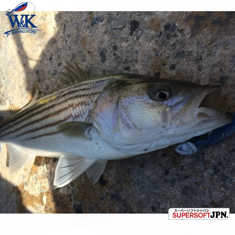 Hot-Sale 11 cm PRO Swimbaits Paddle Tail Shad Lure 4.3\