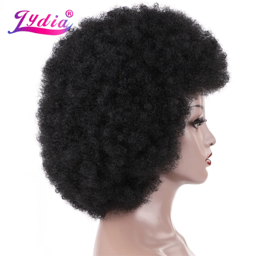 Lydia 16 Inch Afro Kinky Keriting Sintetis Wig Kanekalon Tahan Panas Afrika Amerika Cosplay Harian Rambut Wig