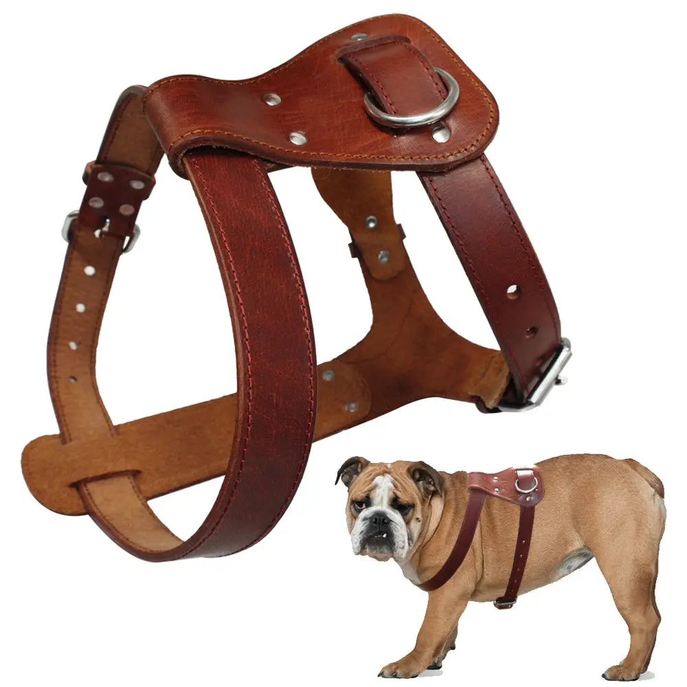 Genuine Leather Dog Harness Brown Real Leather Dogs Walking Training Vest Adjustable Straps Medium Large Pitbull Boxer Mastiff