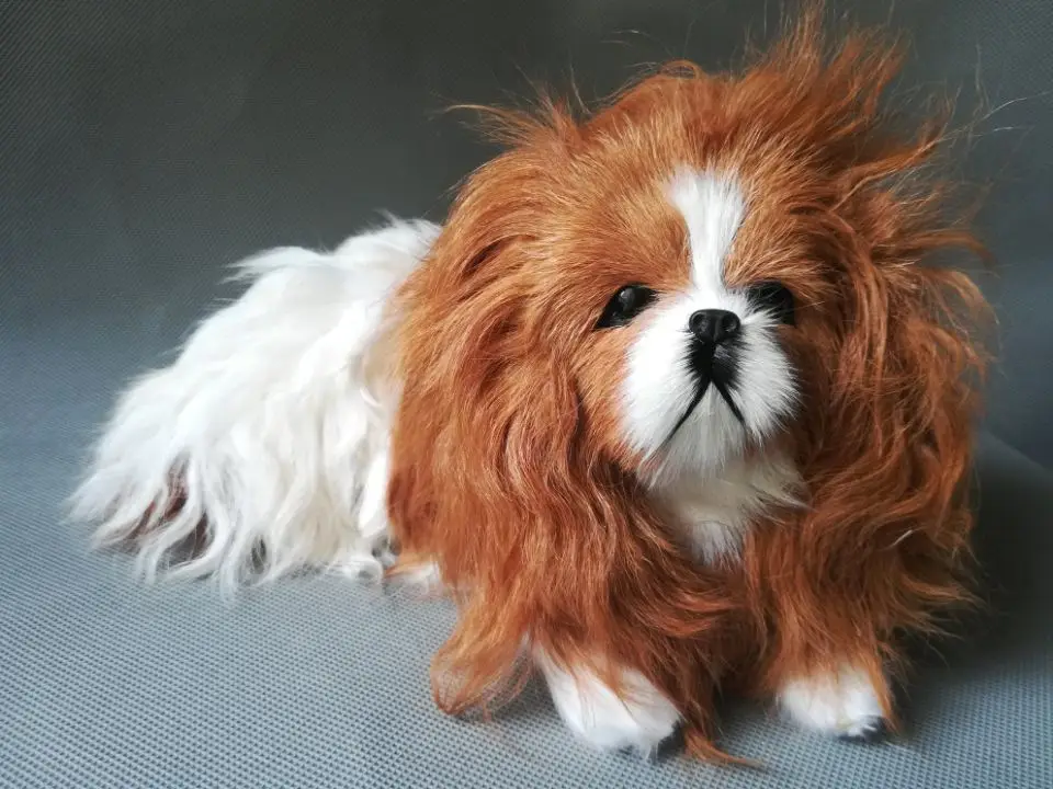 simulation dog plastic&furry furs King Charles dog model 25x12cm ,home decoration toy gift w0219