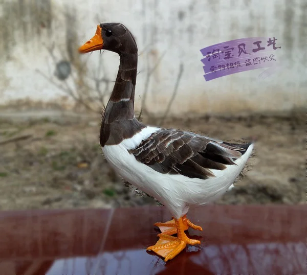 big creative simulation goose model new gray goose toy gift about 38x25x14cm 1537