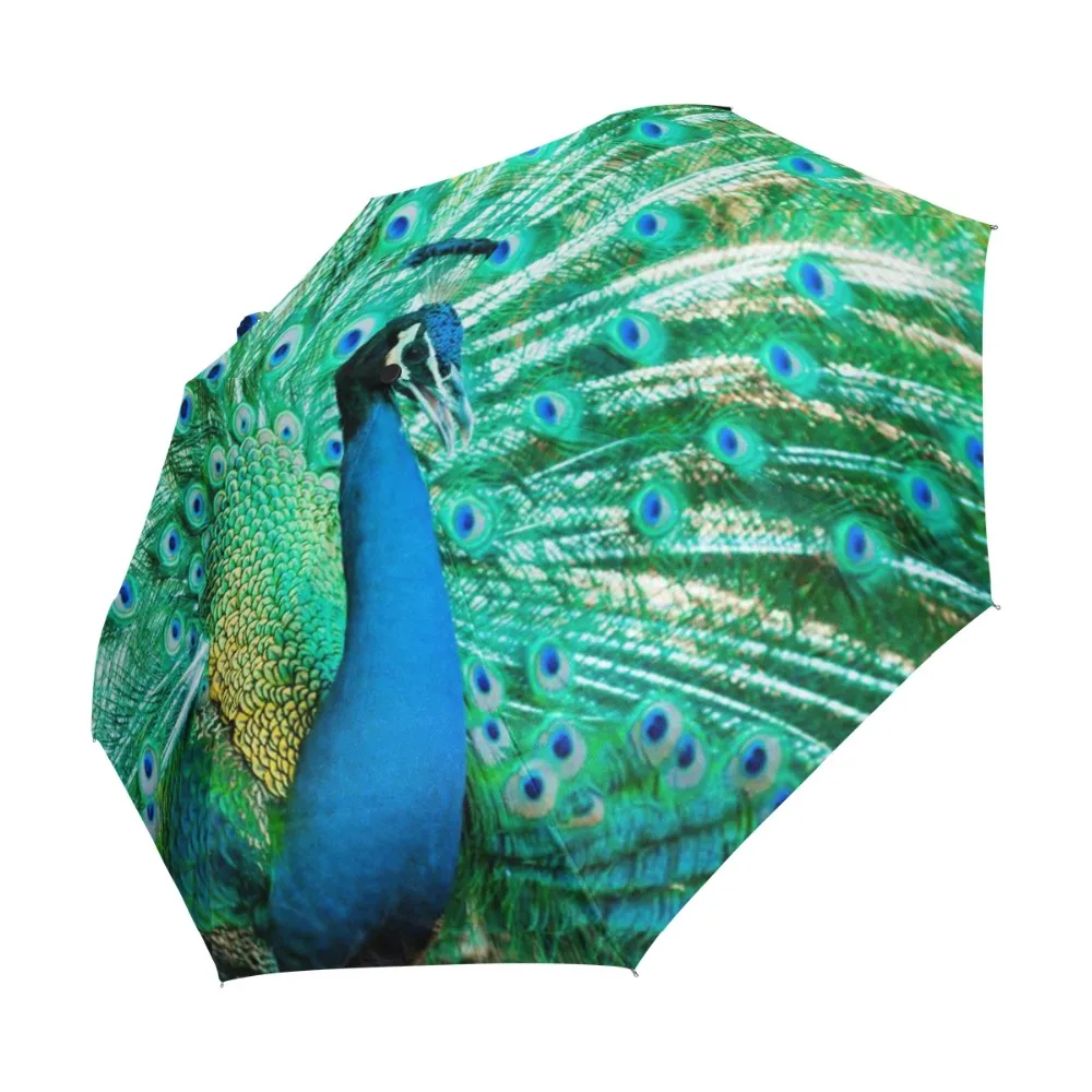 Peacock Exotic Birds Windproof Anti UV Umbrellas Auto Open Close 3 Folding Durable Compact Travel Sun Rain Umbrella for Children