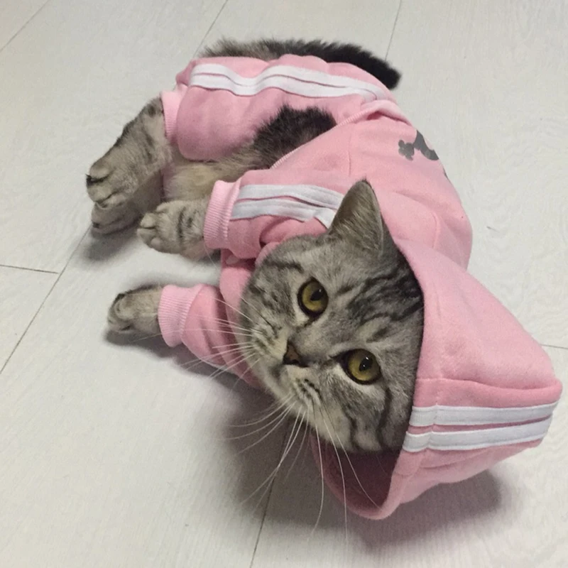 Fashion Pet Clothes for Cats Winter Warm Puppy Cat Clothing for Gotas Katten Kedi Sphynx Dog Overalls mascotas Jumpsuit Pajamas