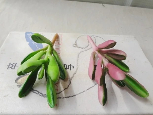 (10 pcs/lot) Wholesale plastic simulation succulents fleshy small plant DIY single artificial flowers home decoration