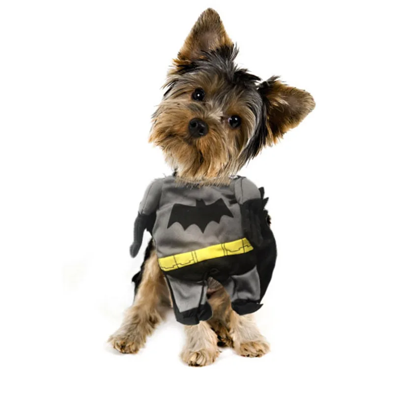 Fashion Cute Pets Sets Transfiguration Clothes Super Hero Cosplay For Dog Cat  Easy Wear Soft Comfortable Like A Man Novel Sets