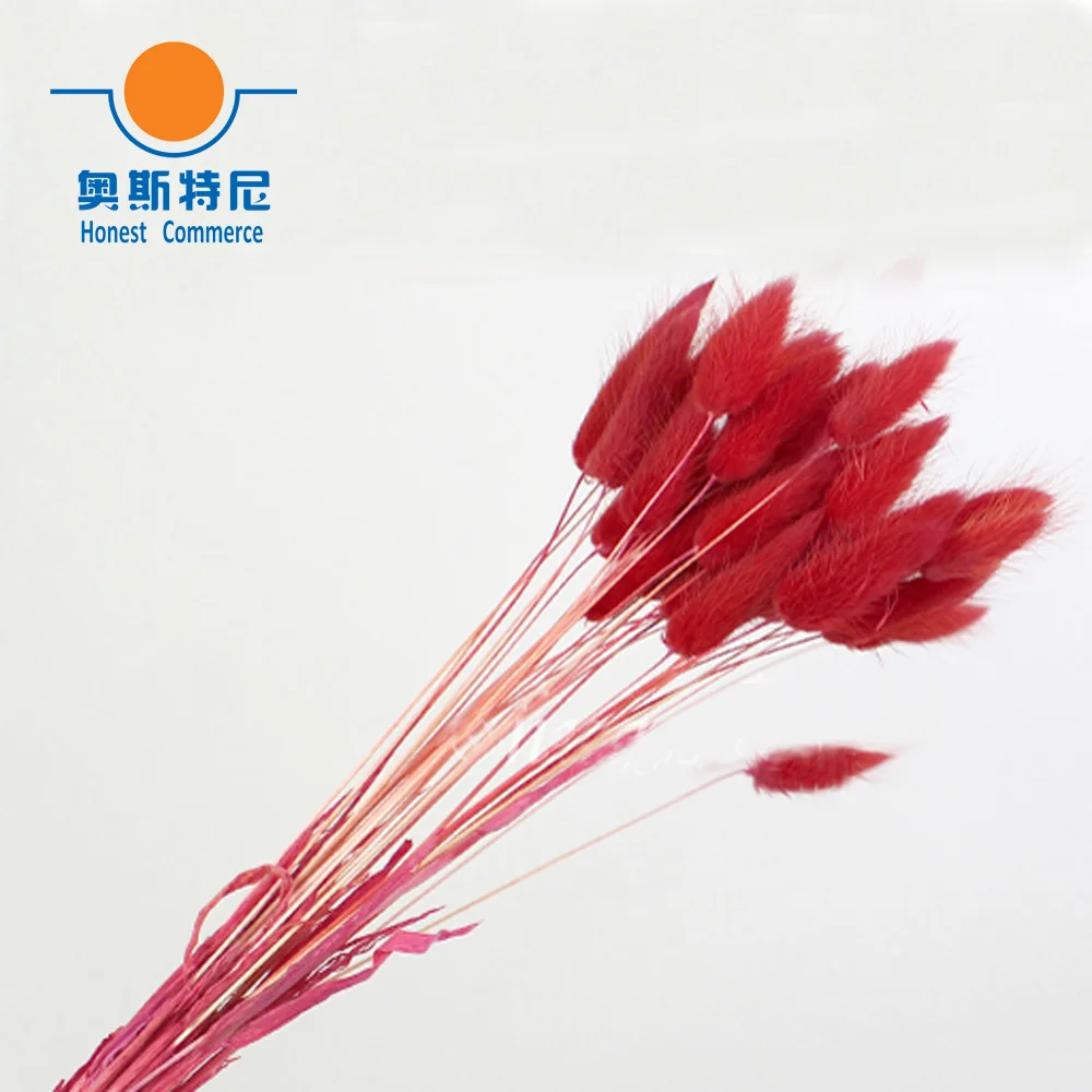 

50pcs dried natural flower bouquets red color Lagurus ovatus bouquets&Uraria picta&rabbit tail grass flower bouquets bunches