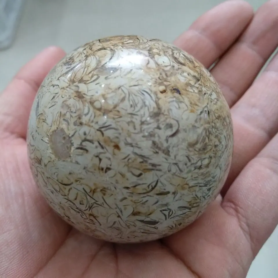 5-6cm Awesome! Dinosaur Bone Fossil Crystal Ball Sphere Madagascar