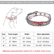 Personalized Pet Collar with ID Tag #6