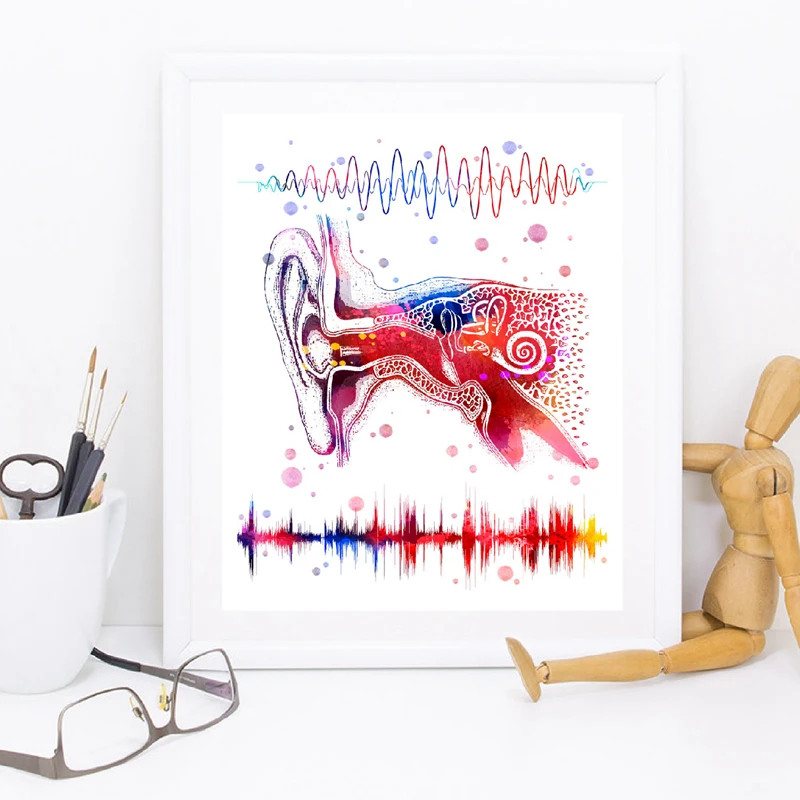 Ear System Medical Anatomy Wall Art Canvas Poster Prints Binaural Hearing Art Audio Wave Painting Clinic Doctor Office Decor