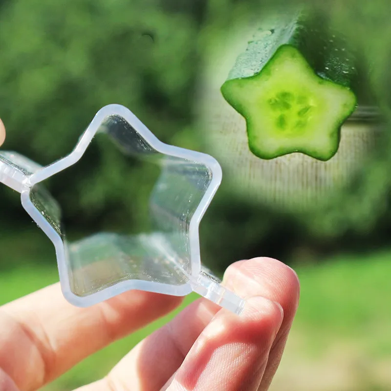 

Plastic Transparent Growing Mould for Garden Bonsai, Strawberry Growth Forming Mold, Star and Heart-Shaped, 2 Sets