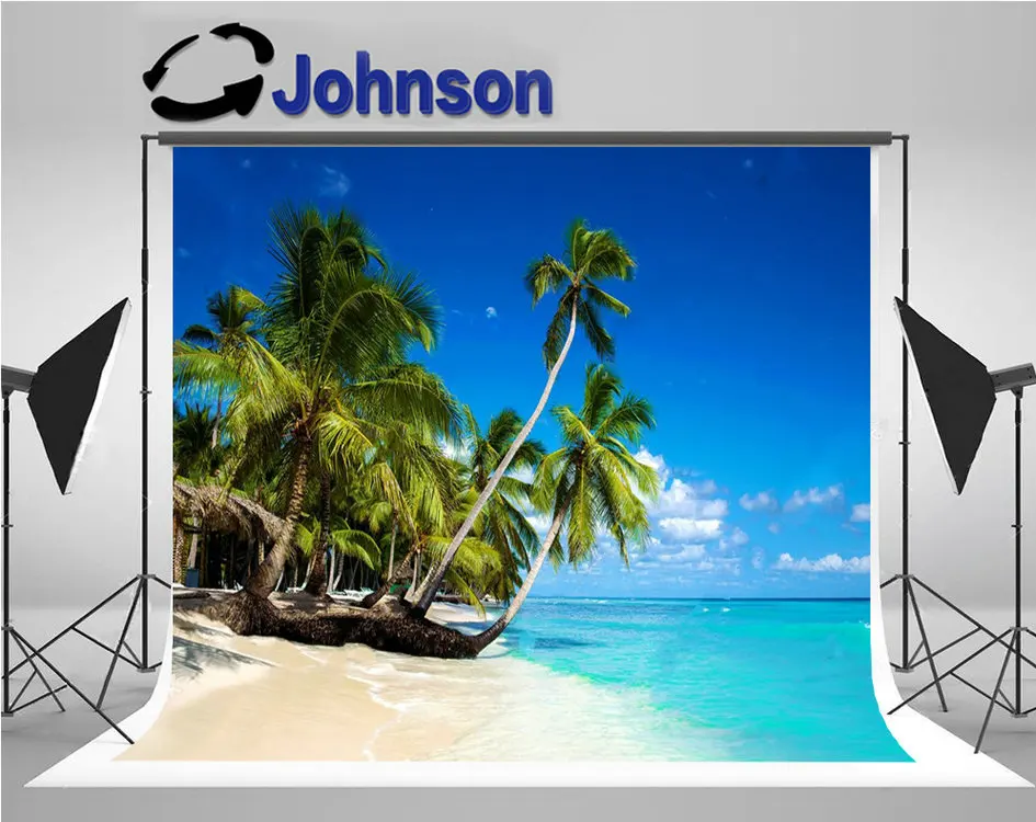 カリブ海トロピカルビーチ海ヤシの木saona島背景高品質コンピュータプリント風光明媚な背景