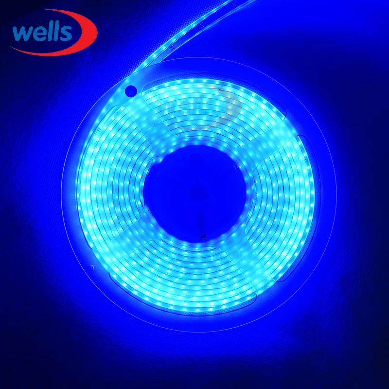 HQ 5M Superbright 5mm High Bright 3014 SMD 120leds/M White / Warm White/Red/Blue/Green/Yellow LED Strip DC12V Not Waterproof