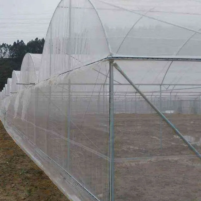 Nylon Protective Net for Fruit, Vegetables, Insect Net, Plant Covers, Greenhouse Pest Control, Anti-bird Garden Net, 60Mesh