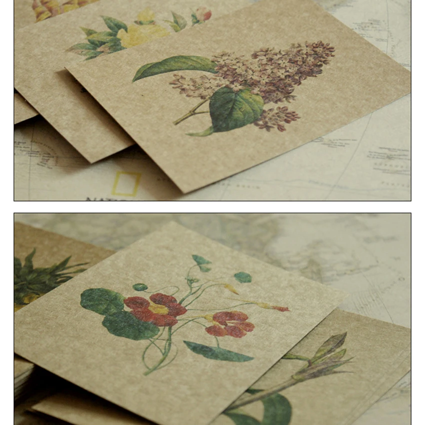 24 PCS/Set Famous Painter Postcard Series Set Botanical Illustration Postcard Retro Kraft Paper Greeting Cards Message Card