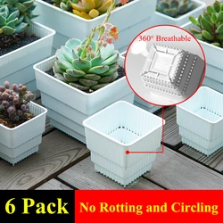 MESHPOT 6-Pack Plastic Square Succulent Planter Pot/Cactus Plant Pot With Drainage Holes Good Vent Garden Supplies Home Decor