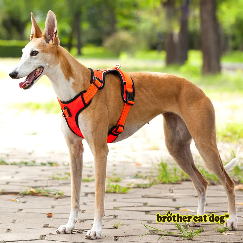 High Quality Strong Pet Dog Harness Collar For Dogs Training Vest Medium Big Dog Service Adjustable Outdoor Protective Harness