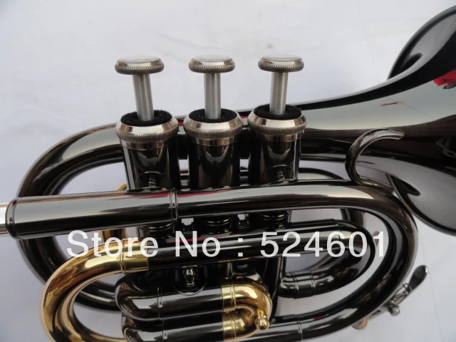 Fidelity quality goods inventory, pocket 123 mm big trumpet, the musical instrument surface Bb palm black JinJian nickel