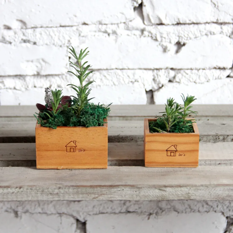 zaka groceries home mark sets of two wooden jewelry storage box creative mini meat plant pots