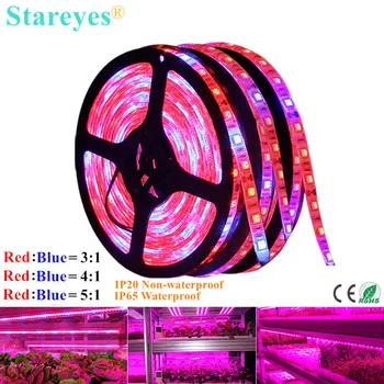 SMD 5050 60LED/m 5m LED Strip Grow light Spectrum เต็มดอกไม้ Phyto Growth โคมไฟสําหรับเรือนกระจกปลูกพืช Hydroponic