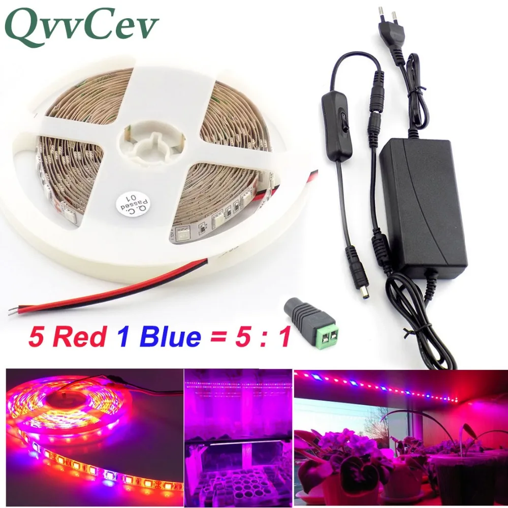 

Qvvcev Led Grow Strip Light 12V 2A/3A 1M 2M 3M 5M 5 Red 1 Blue Waterproof plants Lamp for greenhouse Hydroponics+Adapter+Switch