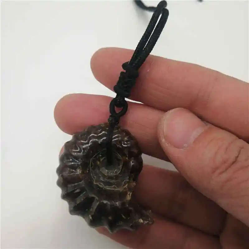 Natural stone pendant pendulum Spot color screw Jurassic snail pendants Green twine chakra pendule suspension