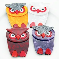 FishSheep Vintage Acrylic Owl Brooch for Women Big Resin Animal Birds Brooches Label Pins Collections Clothing Accessories Gifts