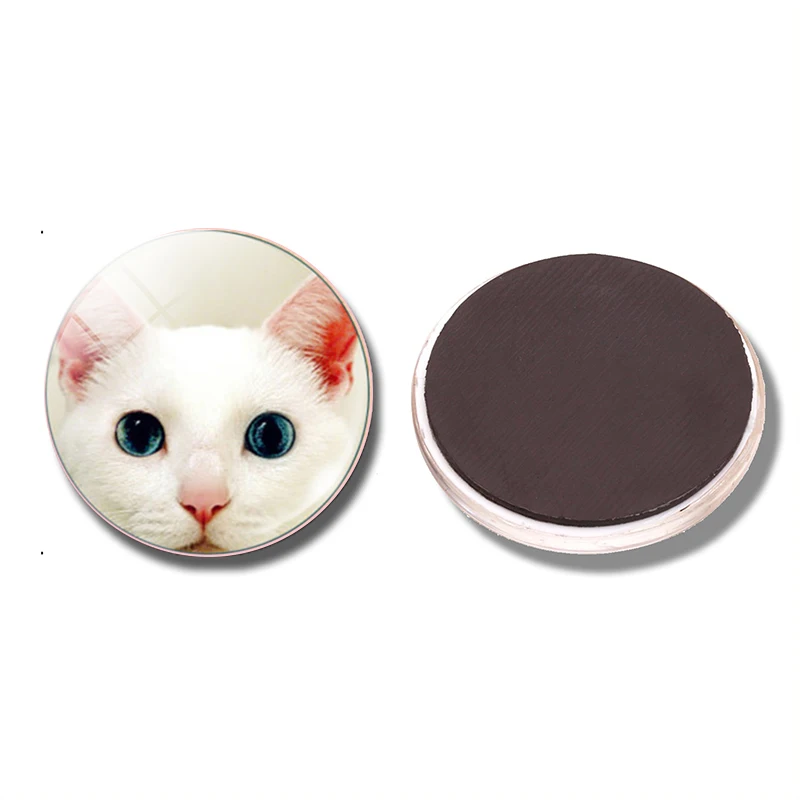 30mm Cat Pet Decoration Magnet Kitchen Circular Glass Refrigerator Magnet Fixed Suction for Learning Whiteboard Notes