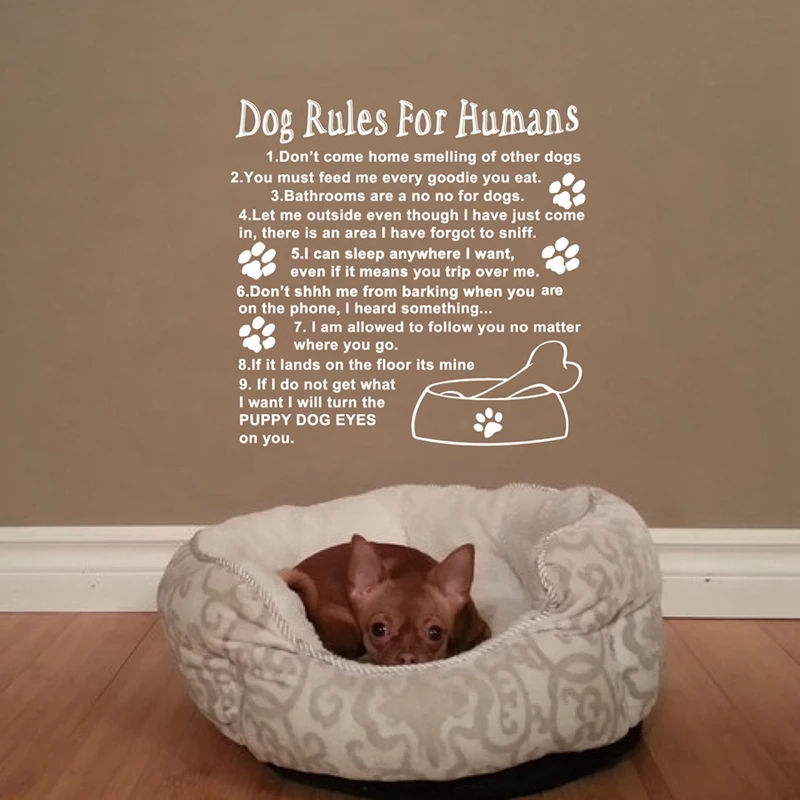 Dog Rules For Humans Wall Art Quote Decal Mural Stickers , Cute Love Dog Room Decoration