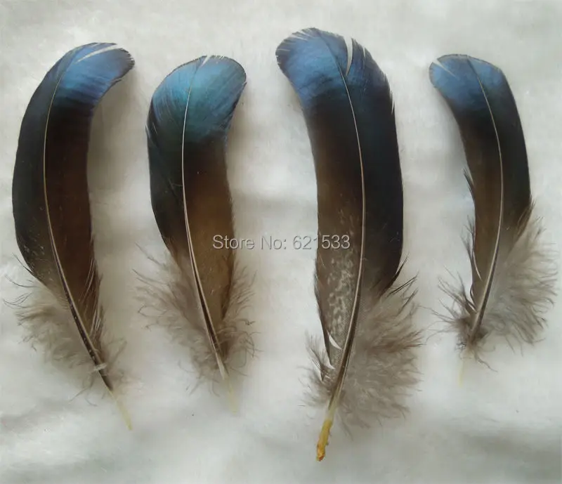 

100Pcs/Lot!8-15cm Long Natural Blue Lady Amherst Pheasant Feathers,Iridescent Blue Lady Amherst Pheasant Wing Feathers