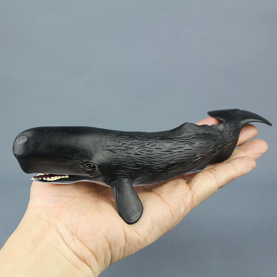 Sea Lifes Animals Cachalot Models Figures Figurines Toys Simulation Ornament Christmas Early Childhood Gift for Kids Sperm Whale