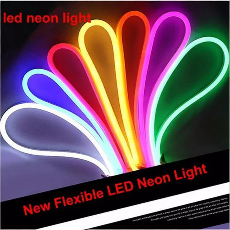 220V RGB Neon Strip LED Light 5050 24key Remote Control or single color Rope Light Waterproof Flexible Tape Outdoor Decoration