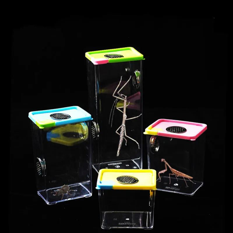 1PCS Spider rearing box Pet Praying Mantis jumping Wild picking box Climbing pet box insect