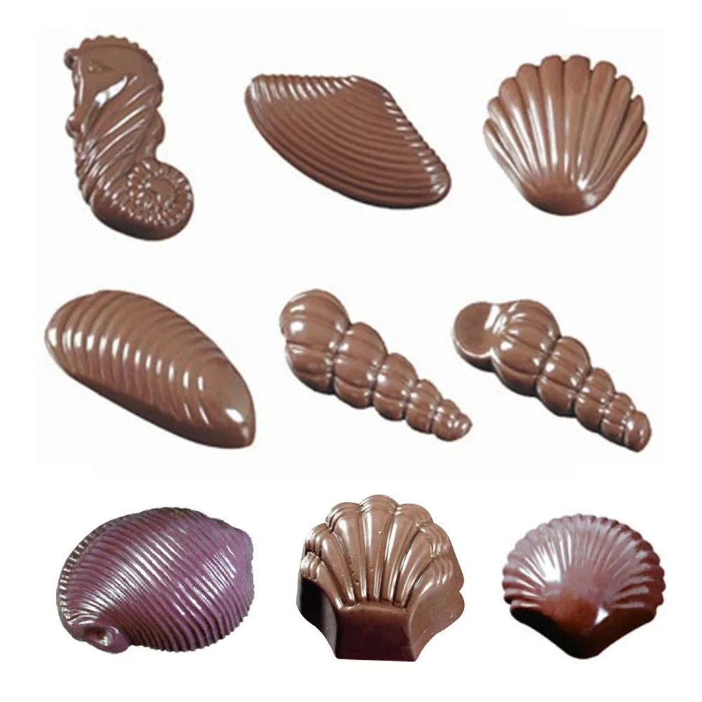 3D Shell Shape Polycarbonate Chocolate Mold Sweet Candy Pudding Jelly Mould  Diy Baking Confectionery Tools